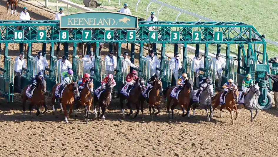 Kentucky Derby Betting Guide: How the Blue Grass Stakes Winner Has Performed on Derby Day